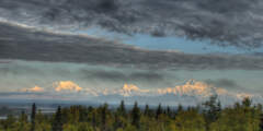 View of Mt. Denali