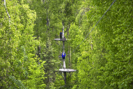 Denali Zipline Tours 433 F2 D36 7 E01 4372 8150 6 DCA223940 CB