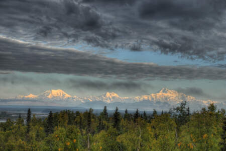 View of Mt. Denali