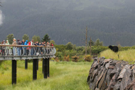 Alaska Wildlife Conservation Center 4320