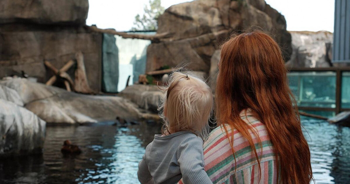 Anchorage + Seward: 5-day Family with Kids Under 5 | ALASKA.ORG