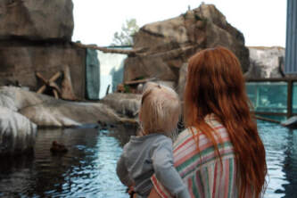 Seward sealife center brad carter photokids photosalaska org kids in alaska