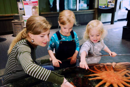 Alaska SeaLife Center Family at touch pools