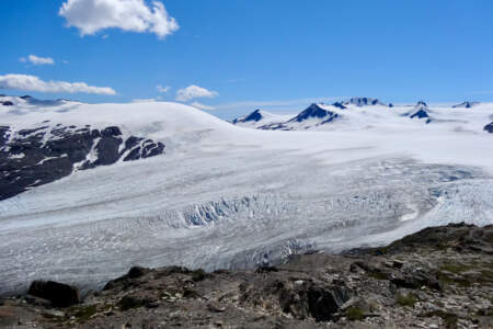 Harding Icefield Trail DSC01841