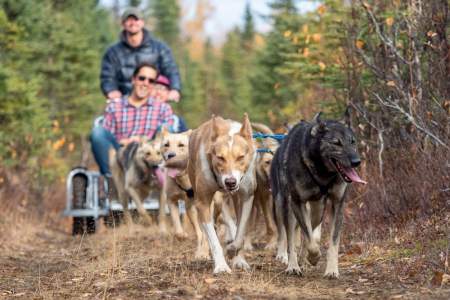 Trip Ideas Willow Alaskan Husky Adventures Liz Failor Summer Sled Ride