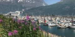 Whittier Harbor Cruise Ship anna dave disckason alaska whittier trip ideas
