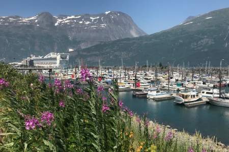 Whittier Harbor Cruise Ship anna dave disckason alaska whittier trip ideas