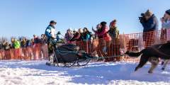 Iditarod Day 3 alaska untitled